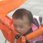 爱在相册里绽放——致我的蔻儿